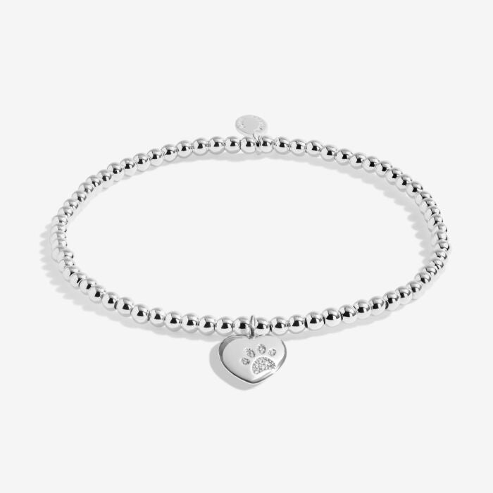 A Little 'Pets Leave Pawprints On Our Hearts' Bracelet In Silver Plating