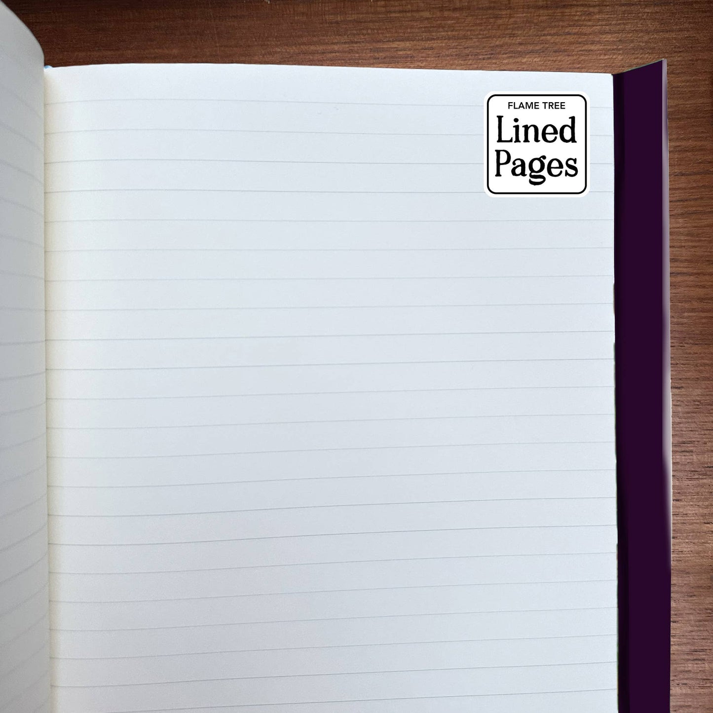 Anna Stead: For Spells & Potions (Foiled Journal): Flame Tree Notebooks