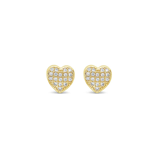 Hypoallergenic 18K Gold Plated Earrings - A61