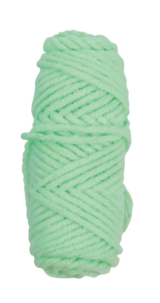 Crochet Mint Turtle