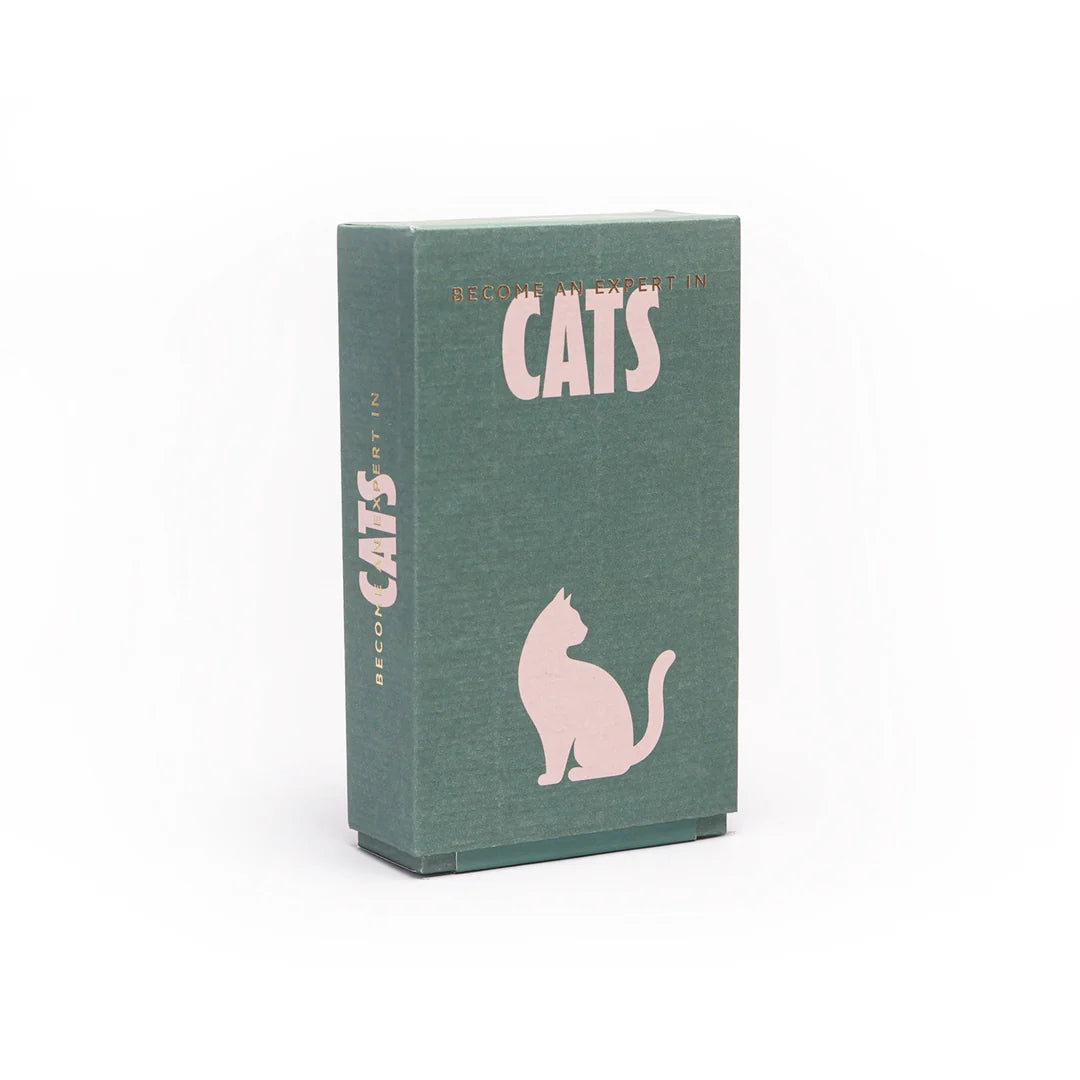 Become an expert Cats
