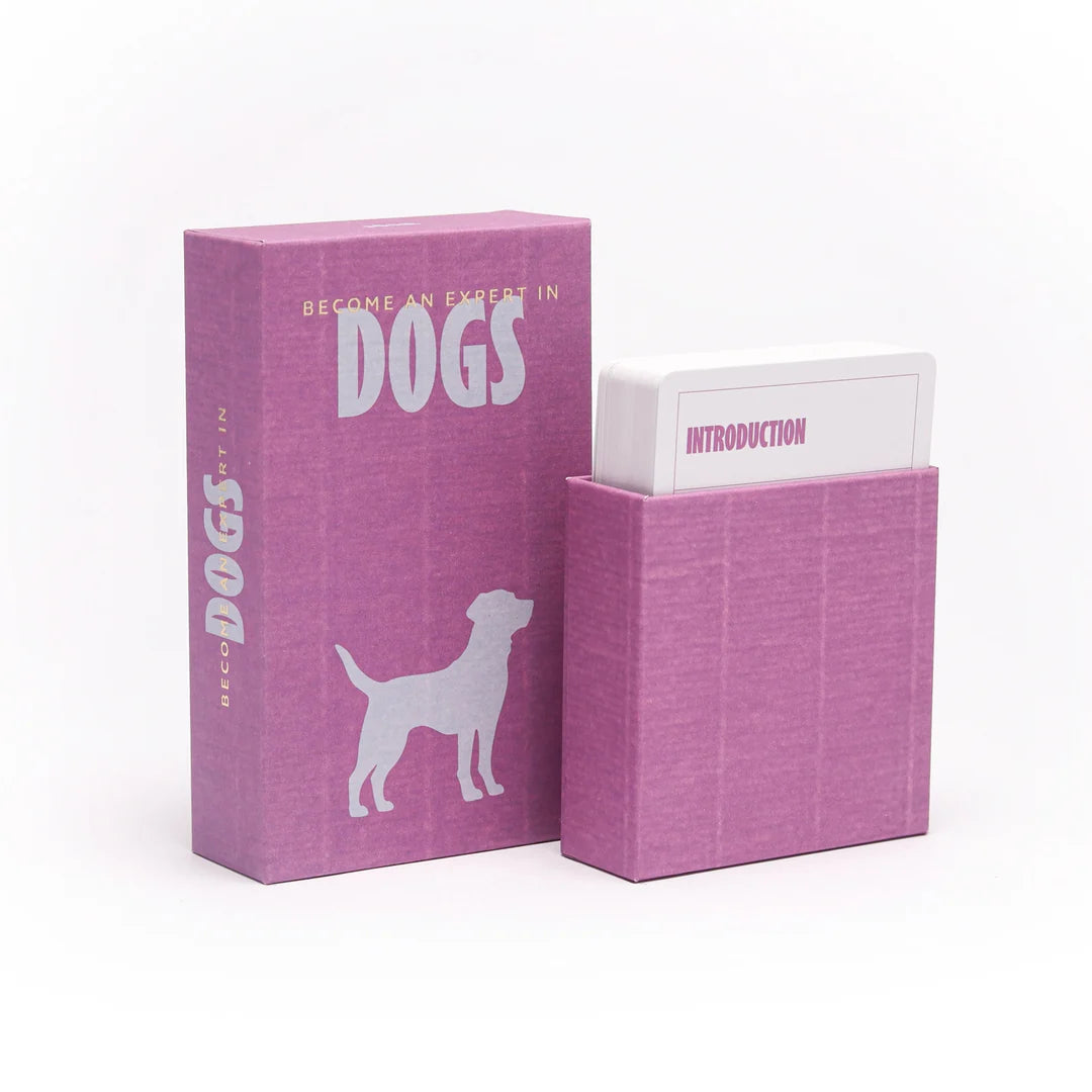 Become an expert Dogs