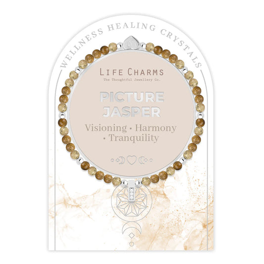 Picture Jasper & Silver Beads Healing Crystals Bracelet