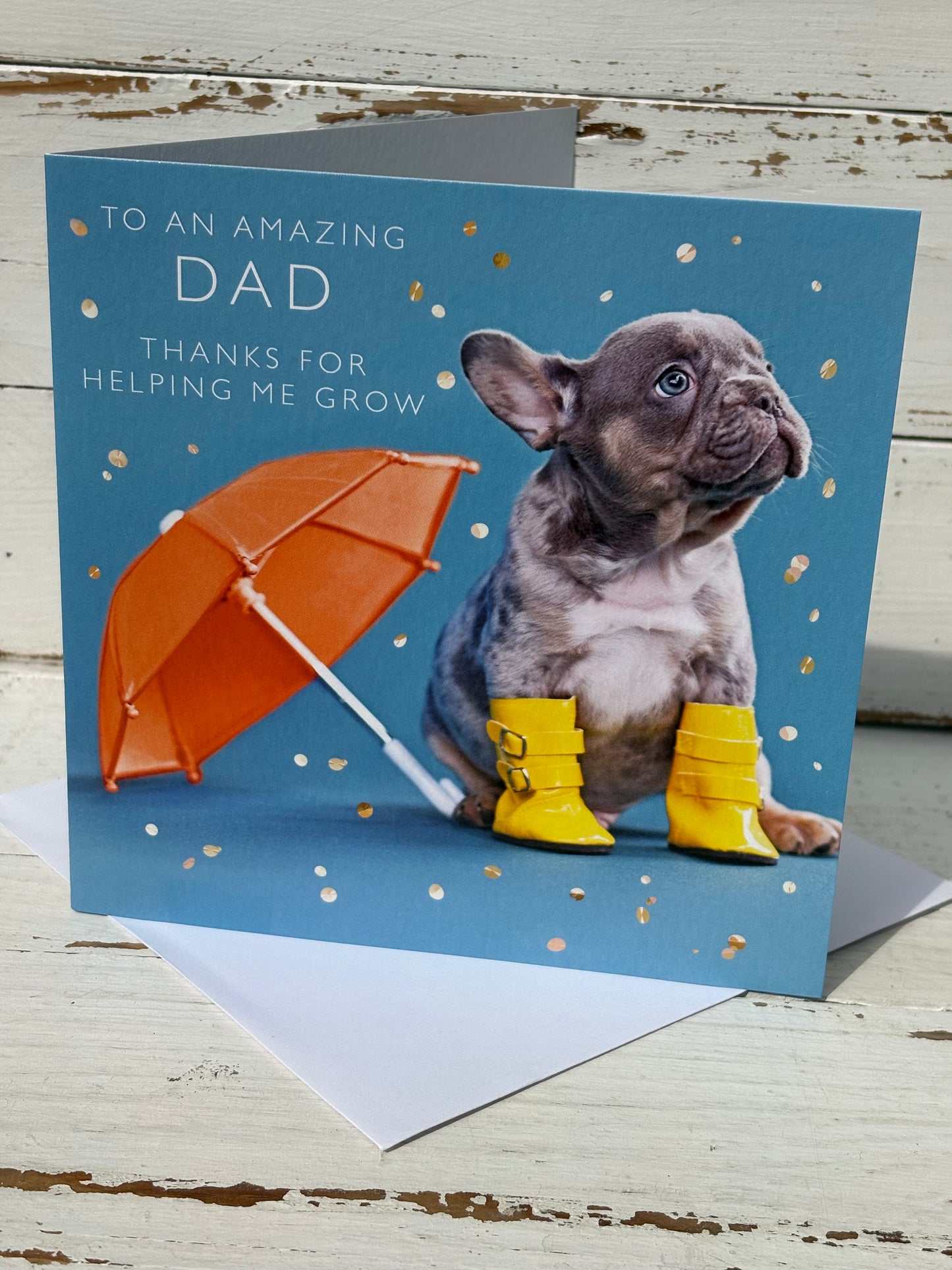 PAPERROSE - F66561 FATHERS DAY
