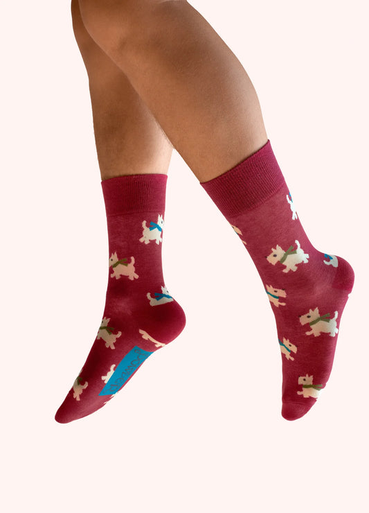Power Men's Socks - Woolly Westie