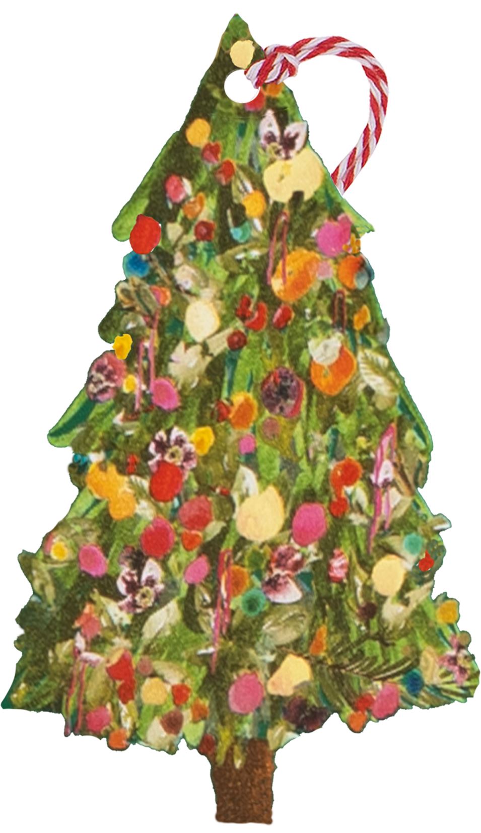 Pack of 6 Luxury Tags - EXQUISITE EVERGREEN