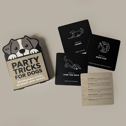 Party Tricks for Dogs