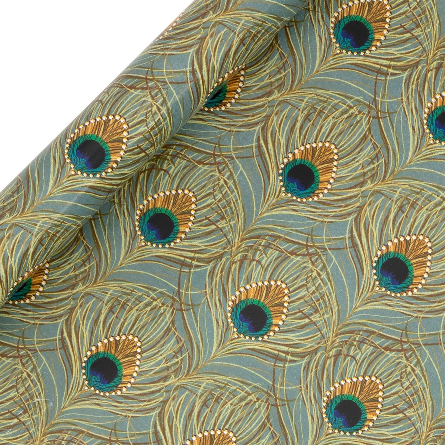 Glick Peacock Quill Gift Wrap