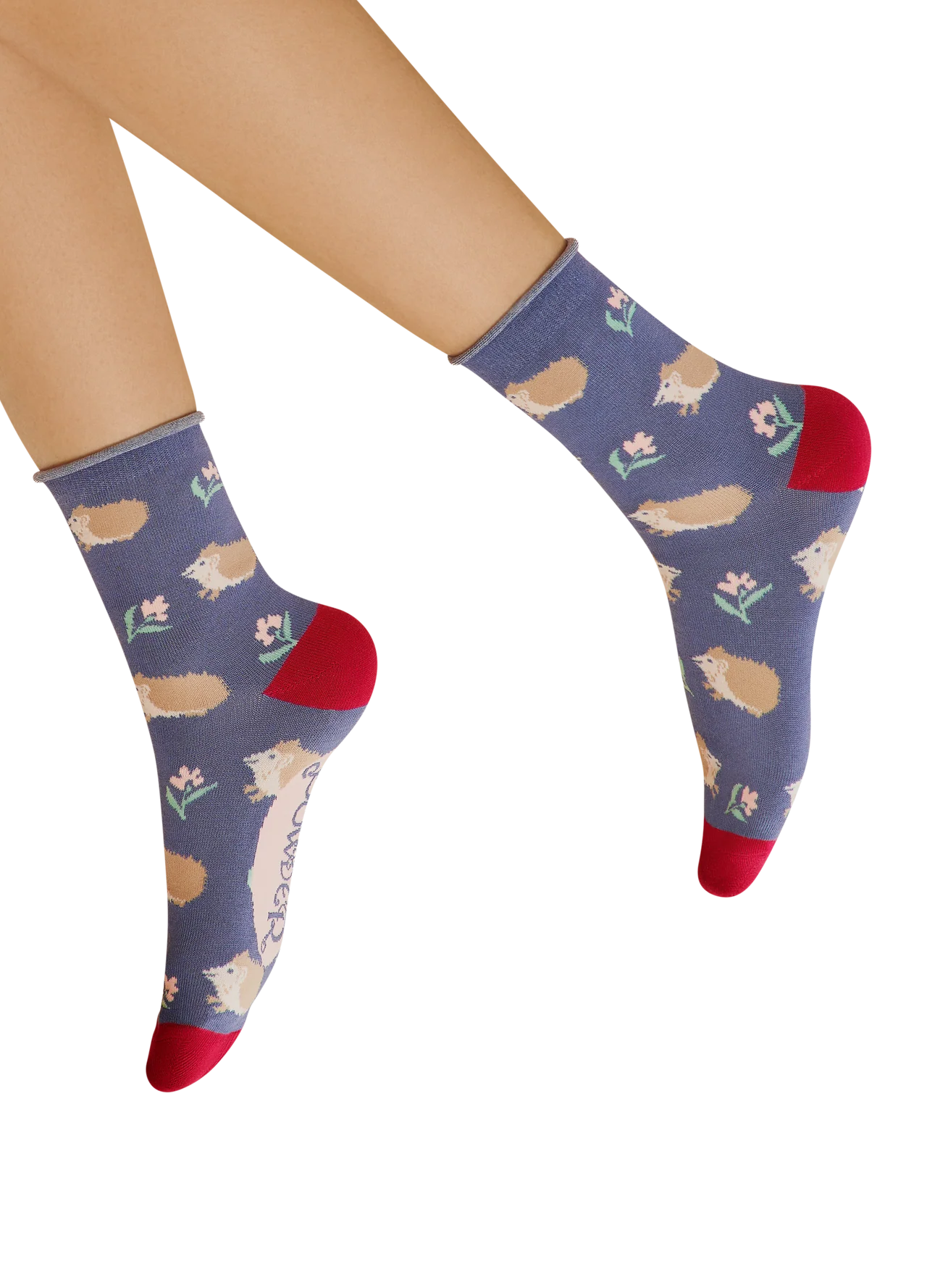 Power Women's Socks - Snuffling Hedgehogs