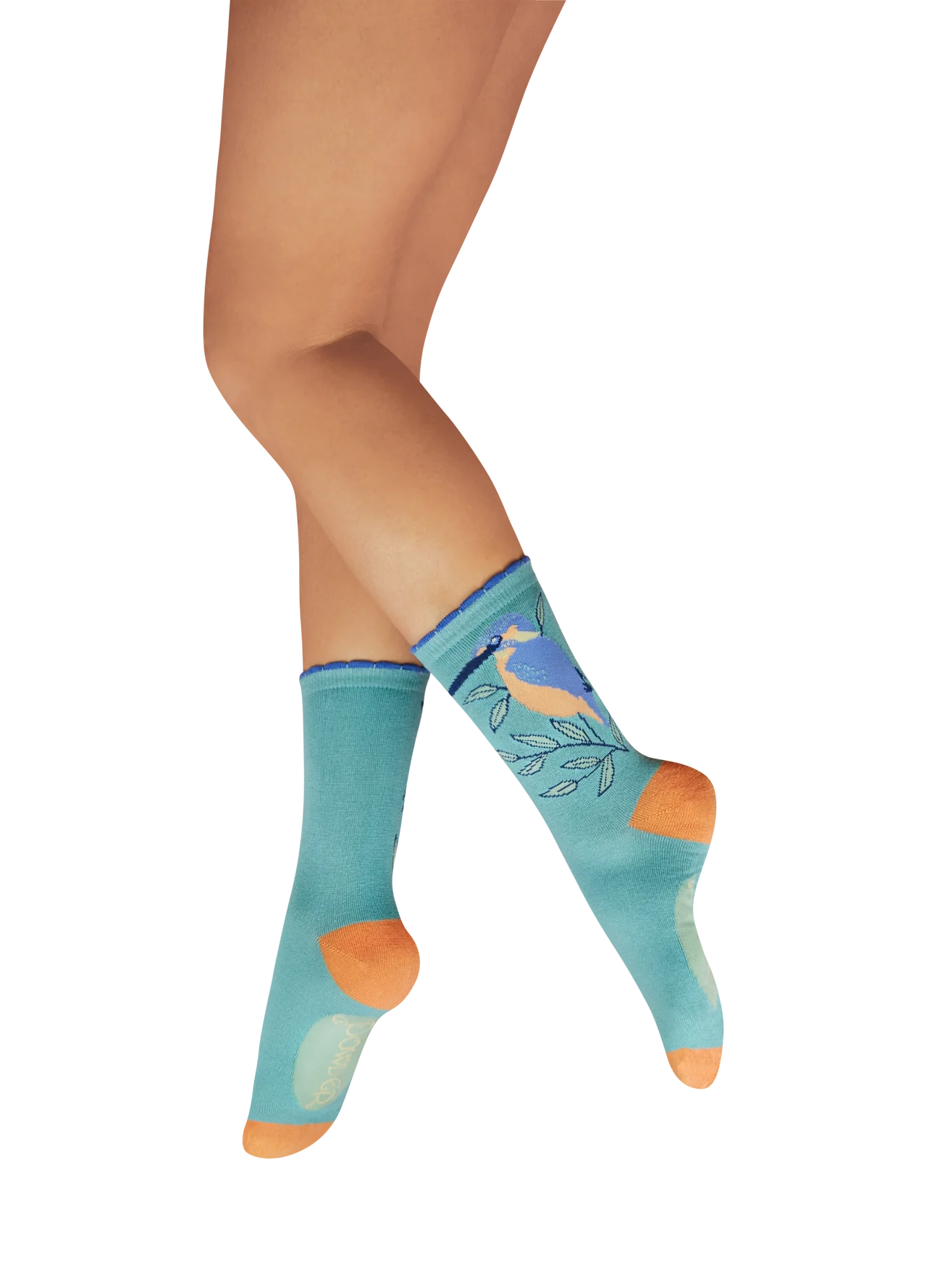 Ladies' Ankle Socks - Dignified Kingfisher