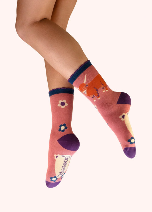 Powder Ladies Ankle Socks -  Highland Cow - Pink