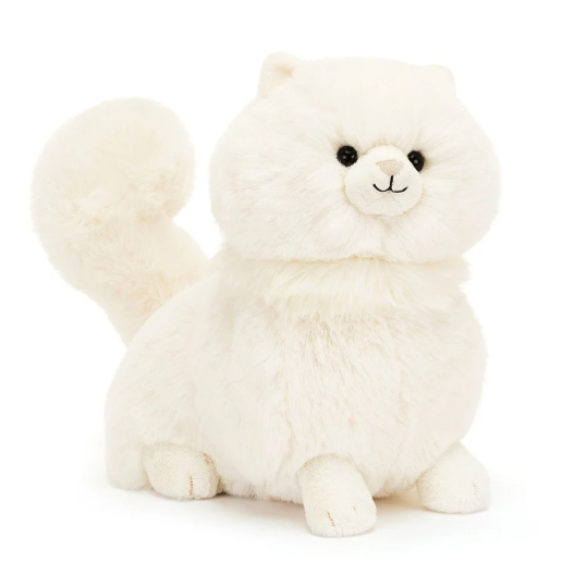 Carissa Persian Cat