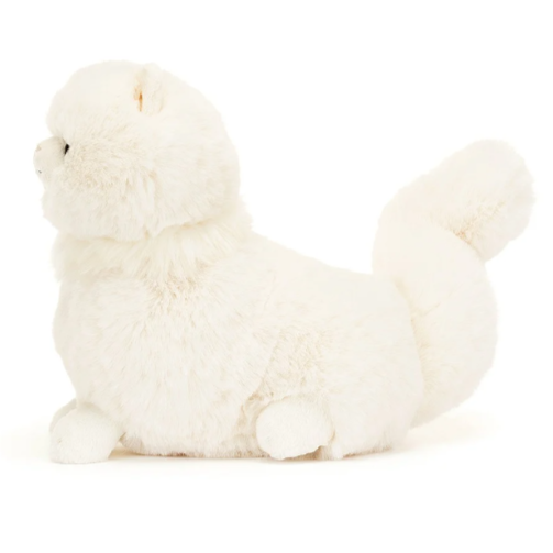 Carissa Persian Cat