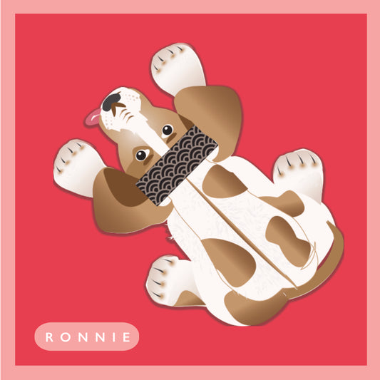 Pop-Up Sticking Card - Ronnie
