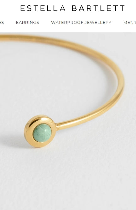 Estella Bartlett - Wellness Amazonite Open Bangle