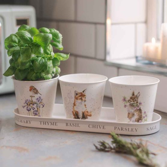Wrendale - Set of 3 Herb Pots