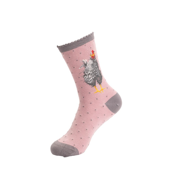 'Curious Hen' Chicken Socks