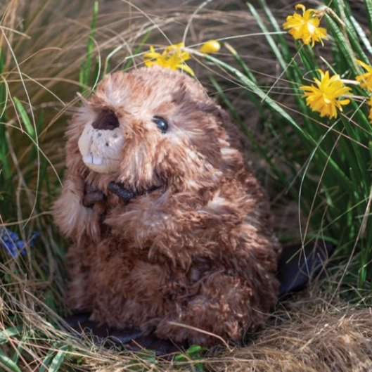Wrendale - 'Chester' Beaver Plush Character
