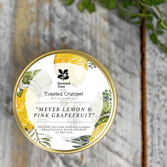 Meyer Lemon & Pink Grapefruit Candle in a Matt Gold Tin