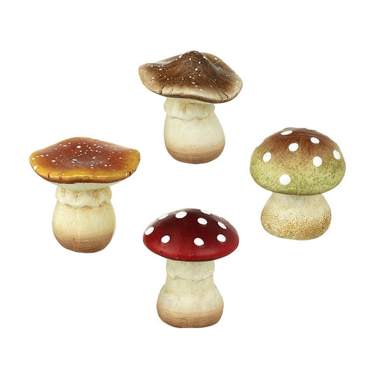 Ceramic Mushroom Mix