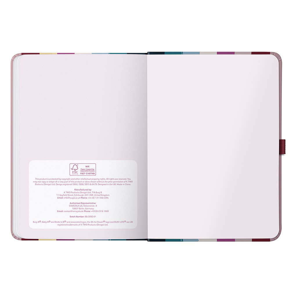 2026 Diary | Busy Life Diary & Weekly Planner | Stripe