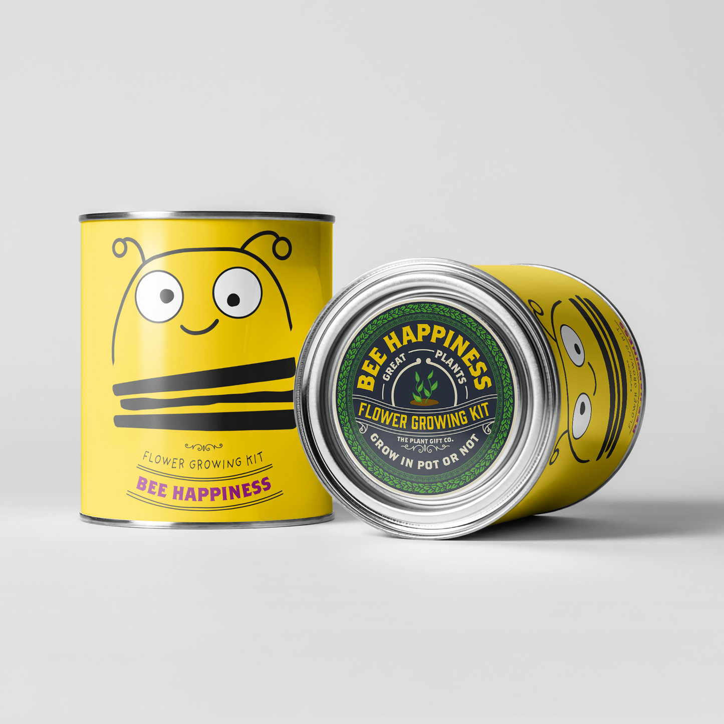Sale - Big Bee Happiness Eco Plant Grow Kit, Gardening Gift