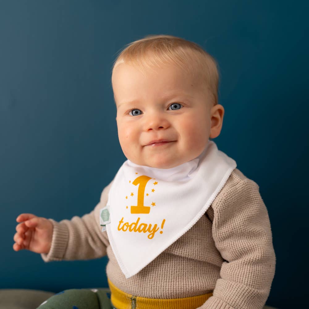 1 Today Bib: White / Single