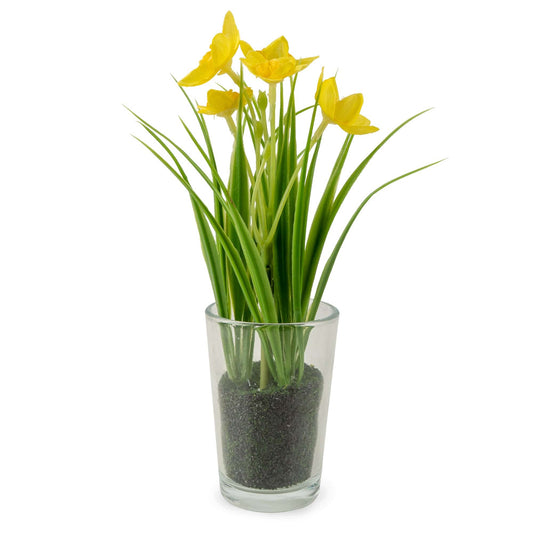 20cm Daffodils in glass vase