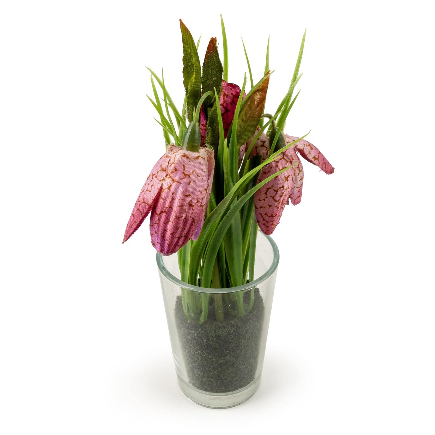 21cm Fritillaria in glass vase
