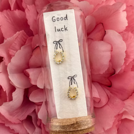 Good Luck Horse Shoe Earring Jar