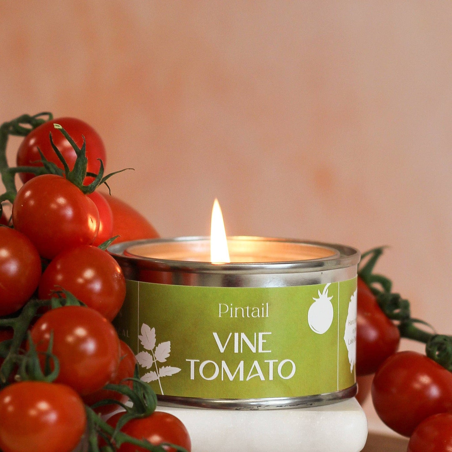 Vine Tomato Paint Pot