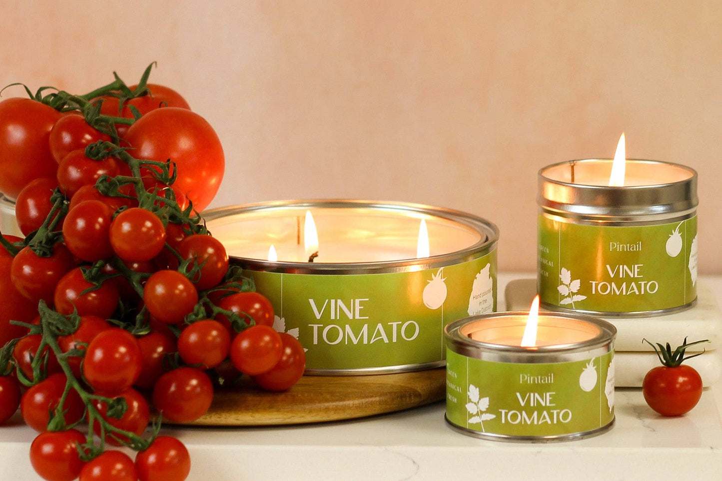 Vine Tomato Paint Pot
