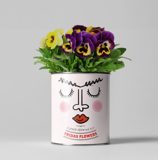 Sale - Frida's Flowers. Eco Grow Your Own Plant, Gardening Kit.