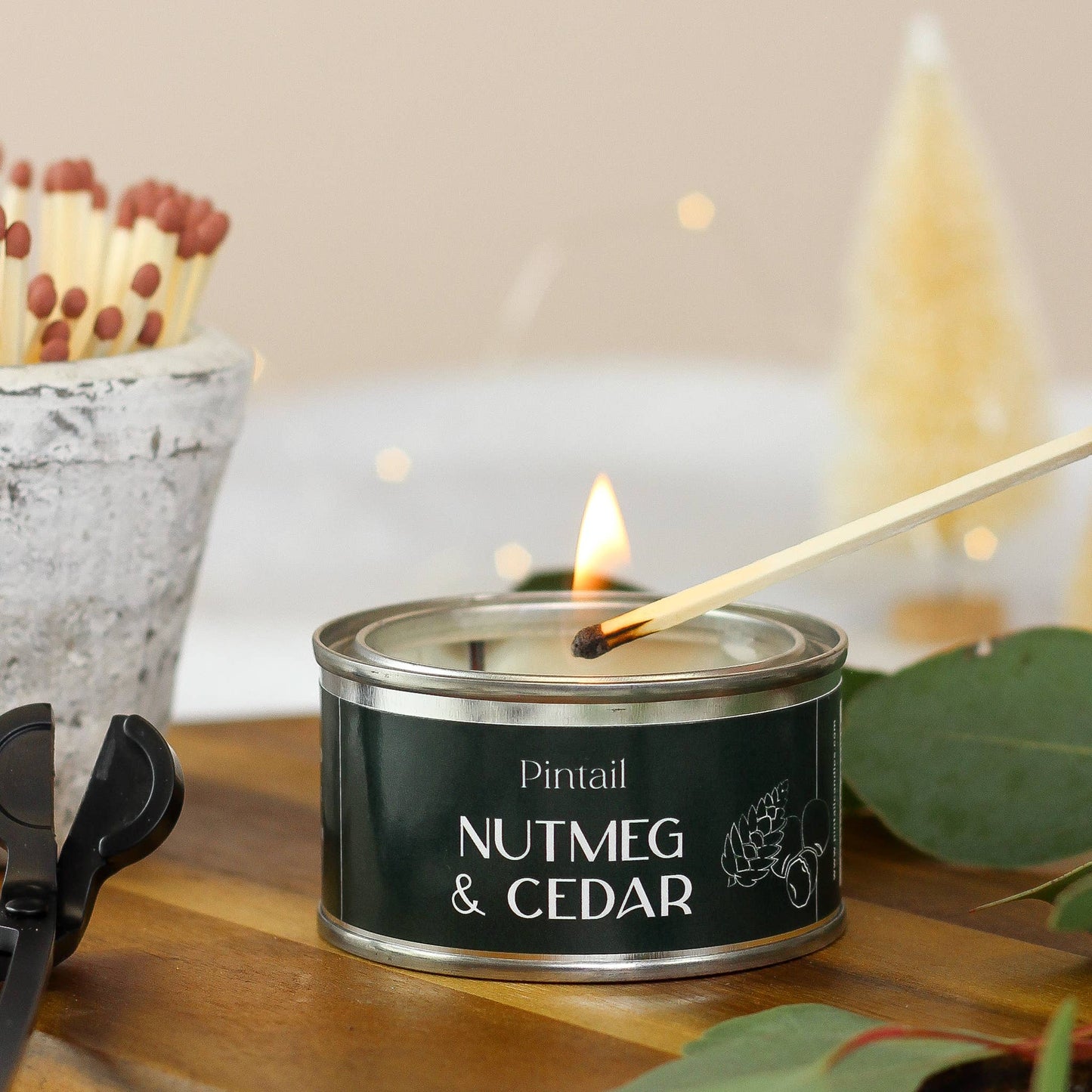 Nutmeg & Cedar Paint Pot Candle I Christmas Candle (Pack of 6)