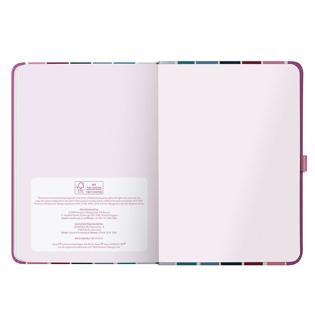 Busy Life Diary 2027 Multi Stripe - Busy B