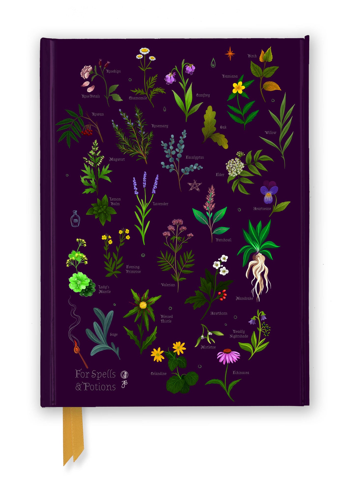 Anna Stead: For Spells & Potions (Foiled Journal): Flame Tree Notebooks