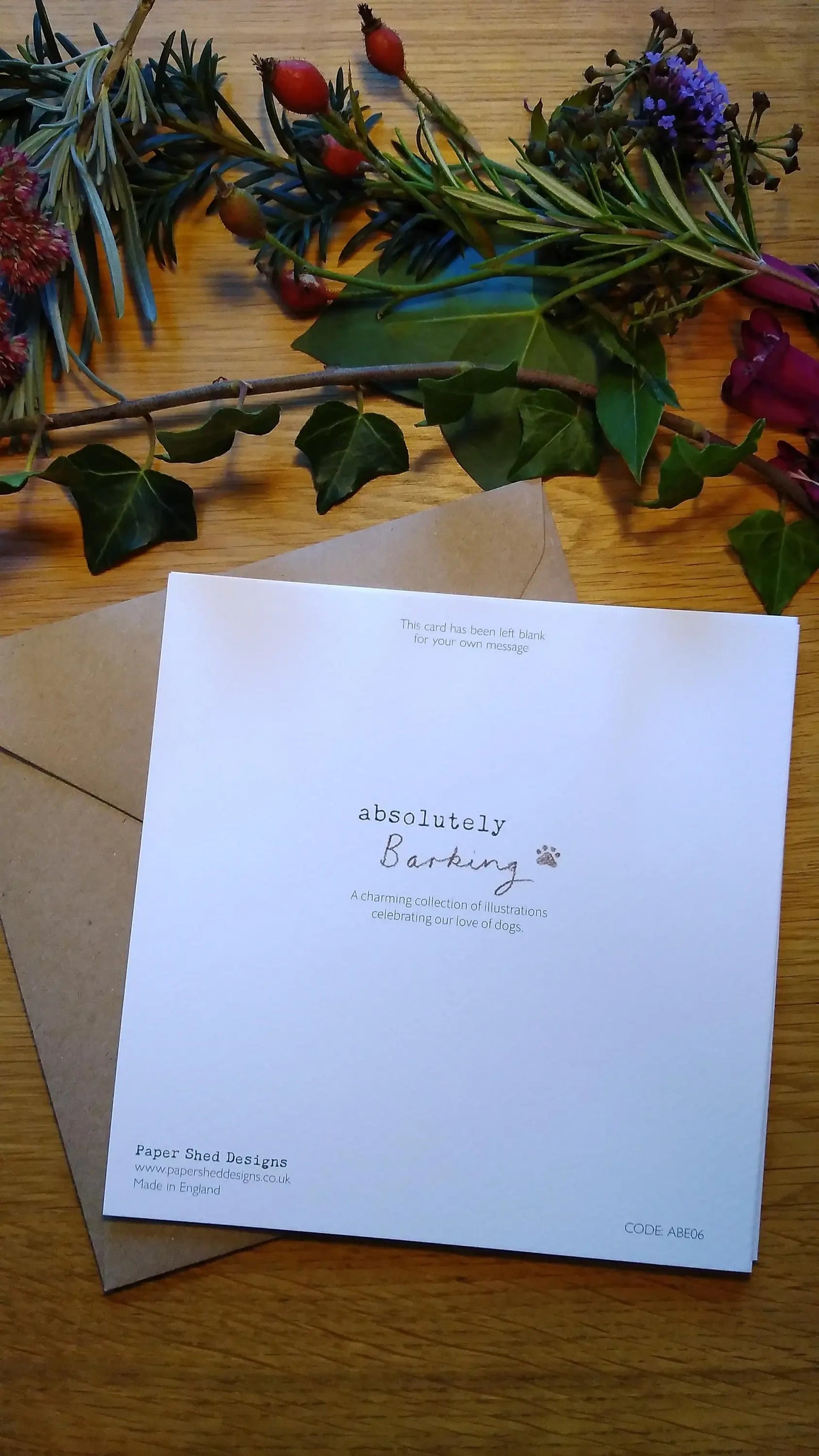 Christmas Card - To A Special Son - Border Collie