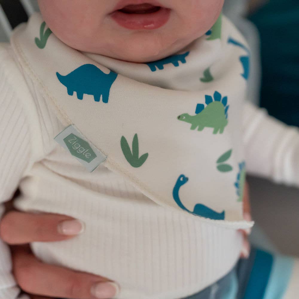 Dino print