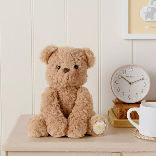 Softies - William The Teddy Bear