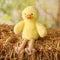 Softies - Tara The Plush Long Leg Yellow Chick